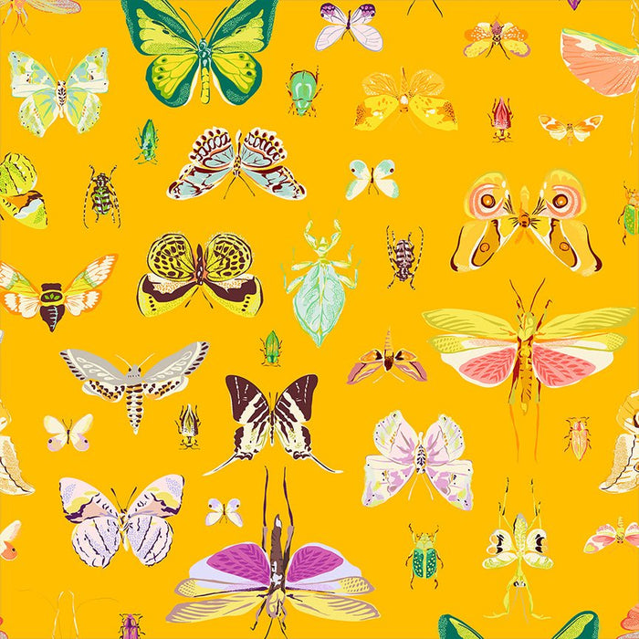Tamara Kate - Insectarium - On Display 54652 - 1 Amber - Half Yard - October 2025 - Modern Fabric Shoppe