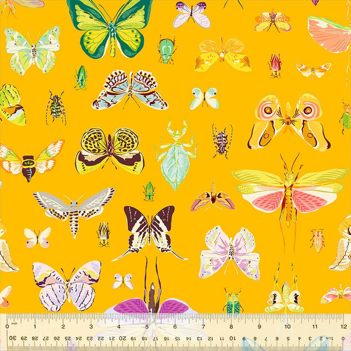 Tamara Kate - Insectarium - On Display 54652 - 1 Amber - Half Yard - October 2025 - Modern Fabric Shoppe