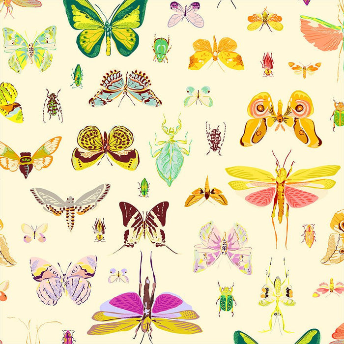 Tamara Kate - Insectarium - On DIsplay 54652 - 2 Light - Half Yard - October 2025 - Modern Fabric Shoppe
