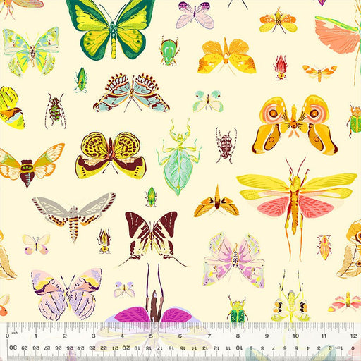 Tamara Kate - Insectarium - On DIsplay 54652 - 2 Light - Half Yard - October 2025 - Modern Fabric Shoppe