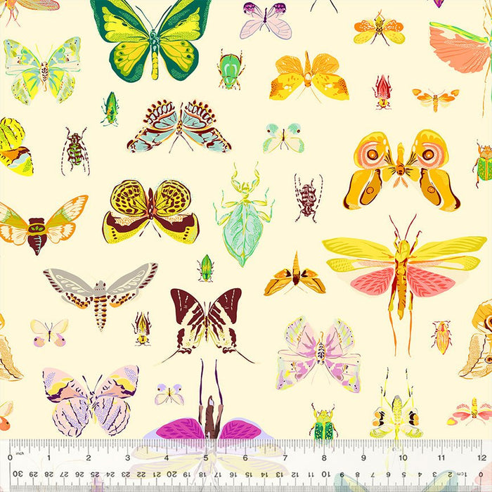 Tamara Kate - Insectarium - On DIsplay 54652 - 2 Light - Half Yard - October 2025 - Modern Fabric Shoppe