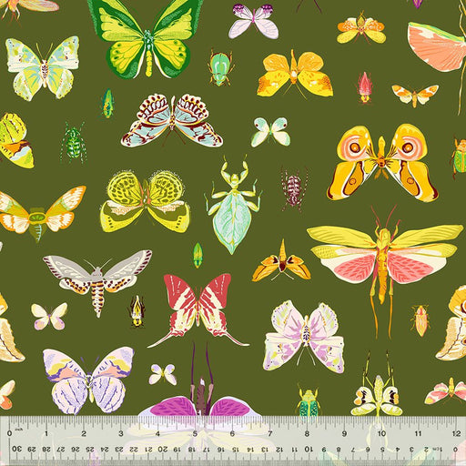 Tamara Kate - Insectarium - On DIsplay 54652 - 3 Olive - Half Yard - October 2025 - Modern Fabric Shoppe
