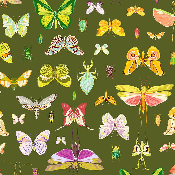 Tamara Kate - Insectarium - On DIsplay 54652 - 3 Olive - Half Yard - October 2025 - Modern Fabric Shoppe
