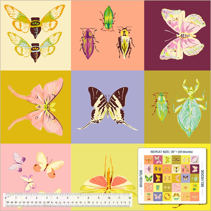 Tamara Kate - Insectarium - Square Dance 54651DP - X Multi - 35 x 44 Panel - October 2025 - Modern Fabric Shoppe