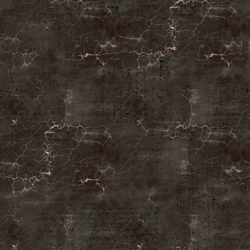 Tim Holtz - Eclectic Elements - Cracked Shadow PWTH128.BLACK - Half Yard - Modern Fabric Shoppe