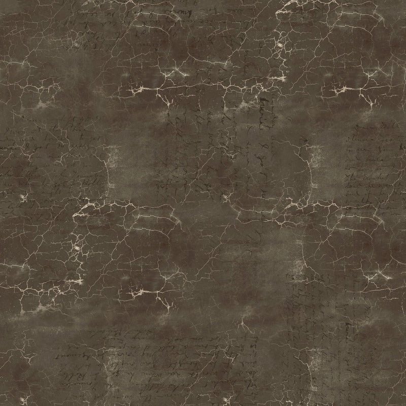 Tim Holtz - Eclectic Elements - Cracked Shadow PWTH128.GRANITE - Half Yard - Modern Fabric Shoppe