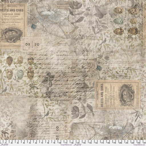 Tim Holtz - Eclectic Elements - Eggs & Nest PWTH031.8MULTI - Half Yard - Modern Fabric Shoppe