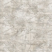 Tim Holtz - Electric Elements - Expedition PWTH016.MULTI - Half Yard - Modern Fabric Shoppe