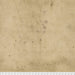 Tim Holtz - Electric Elements - Provisions PWTH115.8LINEN - Half Yard - Modern Fabric Shoppe