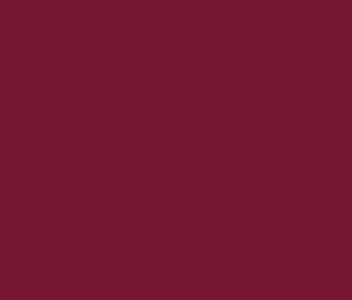 Tula Pink Designer Essential Solid- CSFSESS.CHERRY- Half Yard - Modern Fabric Shoppe