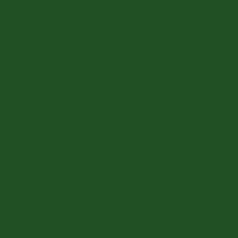 Tula Pink Designer Essential Solid- CSFSESS.PARSLEY- Half Yard - Modern Fabric Shoppe