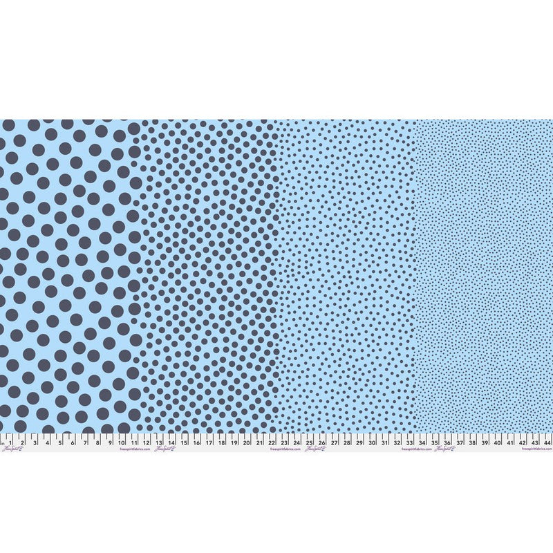 Tula Pink True Color- Stones PWTP299.DENIM- Half Yard- March 2027 - Modern Fabric Shoppe