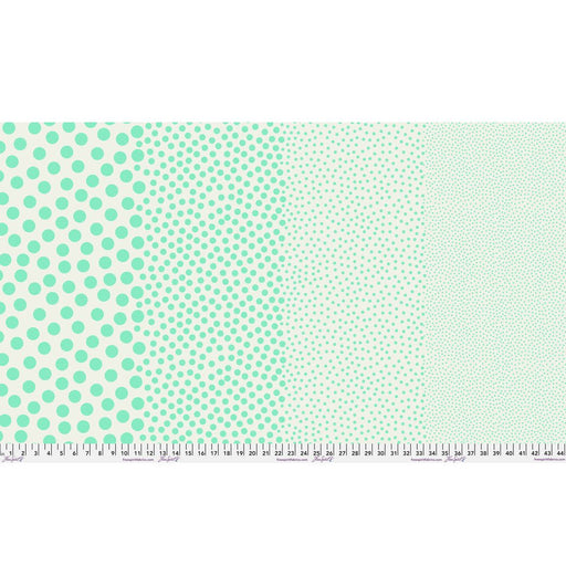 Tula Pink True Color- Stones PWTP299.OASIS- Half Yard- March 2027 - Modern Fabric Shoppe