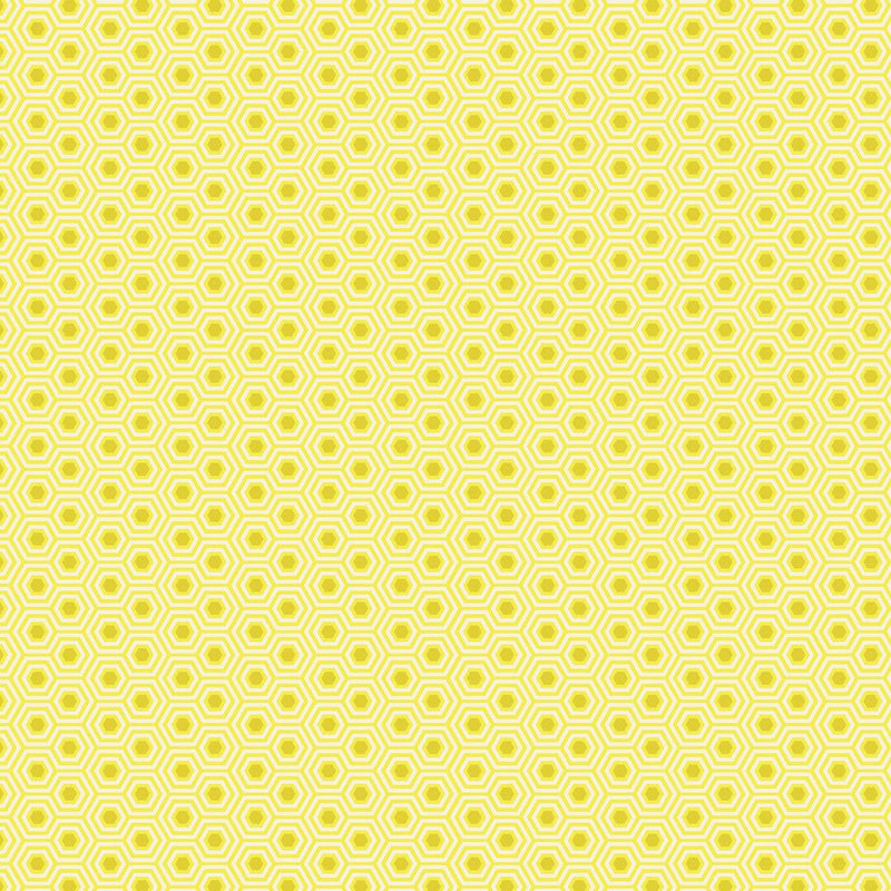 Tula Pink - True Colors Hexy - PWTP150.SUNSHINE - Half Yard - Modern Fabric Shoppe