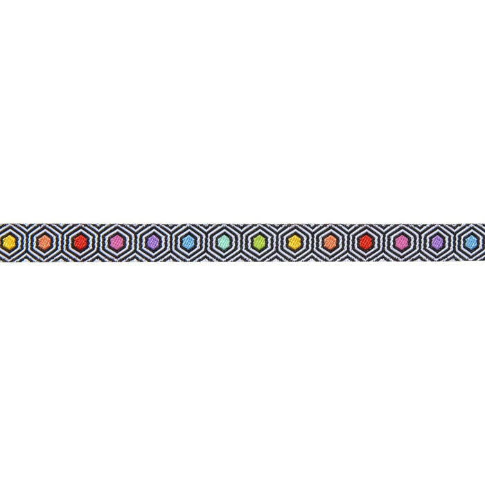 Tula Pink Linework, Hexy Rainbow Jacquard Ribbon, 3/8 wide