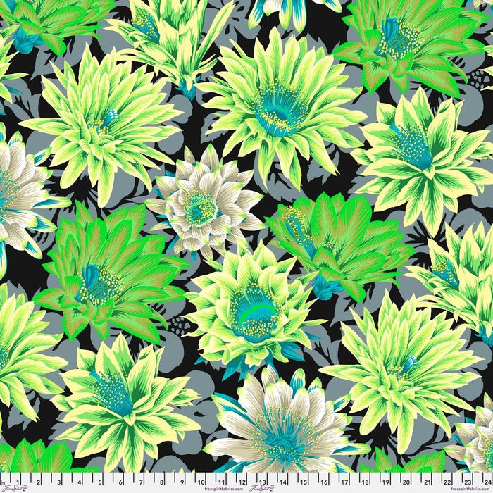 Kaffe Fassett Collective-Philip Jacob- Cactus Flower PWPJ096.CONTRAST- Half Yard - Modern Fabric Shoppe