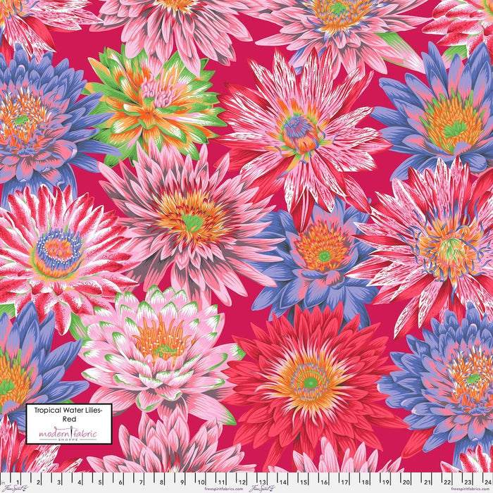 PRE-Order Kaffe Fassett August 2023 Collective- Tropical Water Lilies- PWPJ119.RED- Half Yard - Modern Fabric Shoppe