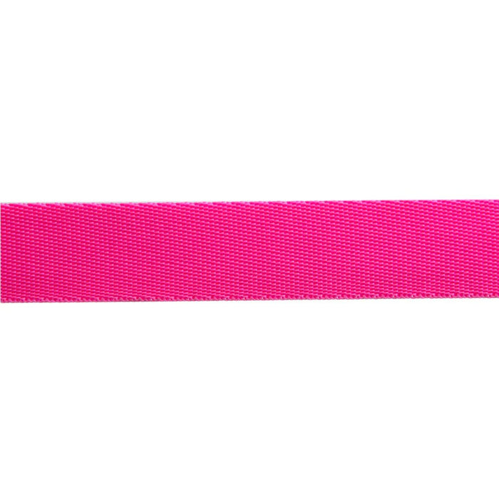 Tula Pink Everglow Cosmic/Pink Nylon Webbing 1" (25mm) wide - Modern Fabric Shoppe