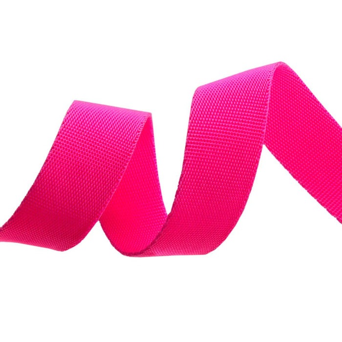 Tula Pink Everglow Cosmic/Pink Nylon Webbing 1" (25mm) wide - Modern Fabric Shoppe